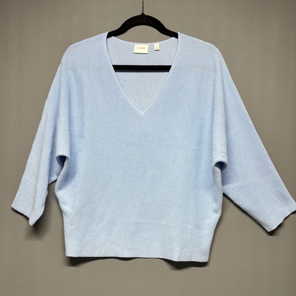✨Cyrus Slate Blue Sweater V-Neck Size M